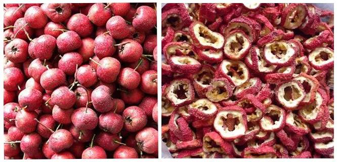 山楂烘干 山楂烘干