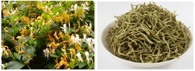 金銀花熱泵烘干機(jī)效果 金銀花熱泵烘干機(jī)效果