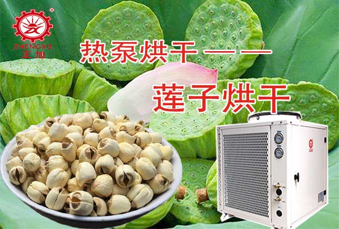 蓮子蓮心熱泵烘干機 蓮子蓮心熱泵烘干機