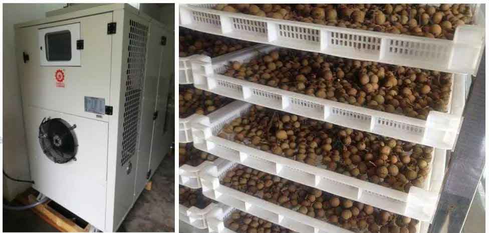 桂圓熱泵烘干機(jī)工藝 桂圓熱泵烘干機(jī)工藝