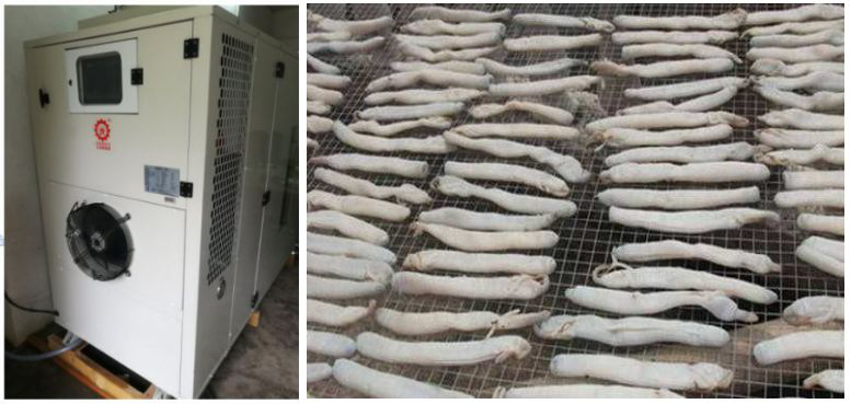 沙蟲熱泵烘干機 沙蟲熱泵烘干機