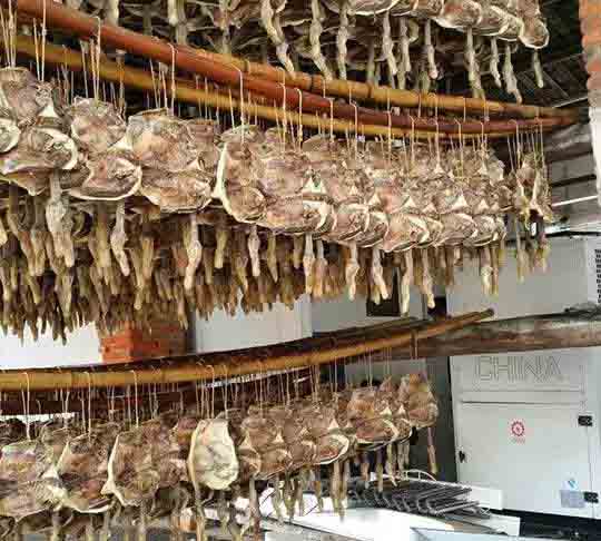 如何建造空氣能烘干房？烘干房價格高嗎？