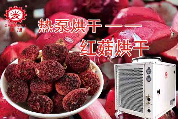 紅菇熱泵烘干機(jī)(烘干溫度和烘干時間) 紅菇熱泵烘干機(jī)(烘干溫度和烘干時間)