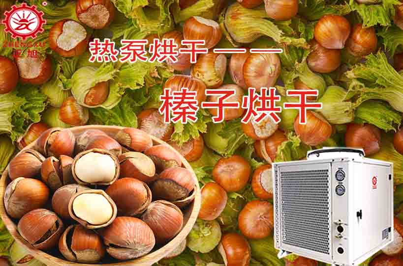 正旭榛子烘干工藝及烘干設(shè)備 正旭榛子烘干工藝及烘干設(shè)備