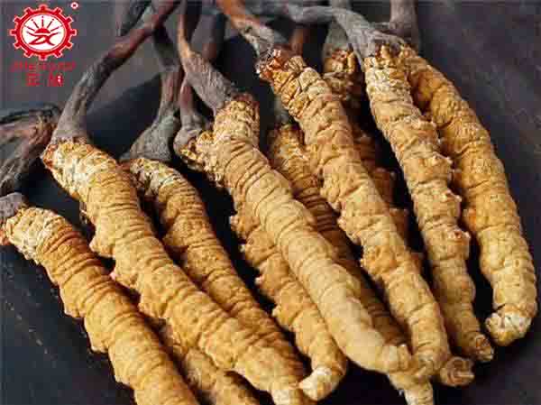 蟲草水洗后能空氣能烘干嗎？