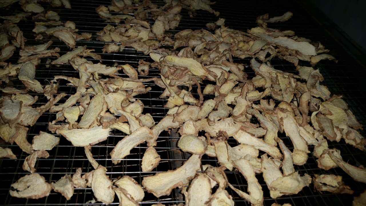 空氣能烘干機如何烘干生姜片 空氣能烘干機如何烘干生姜片