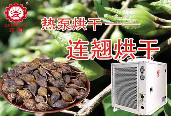 一噸連翹熱泵烘干需要多少錢？「熱泵烘干廠家」為你解答